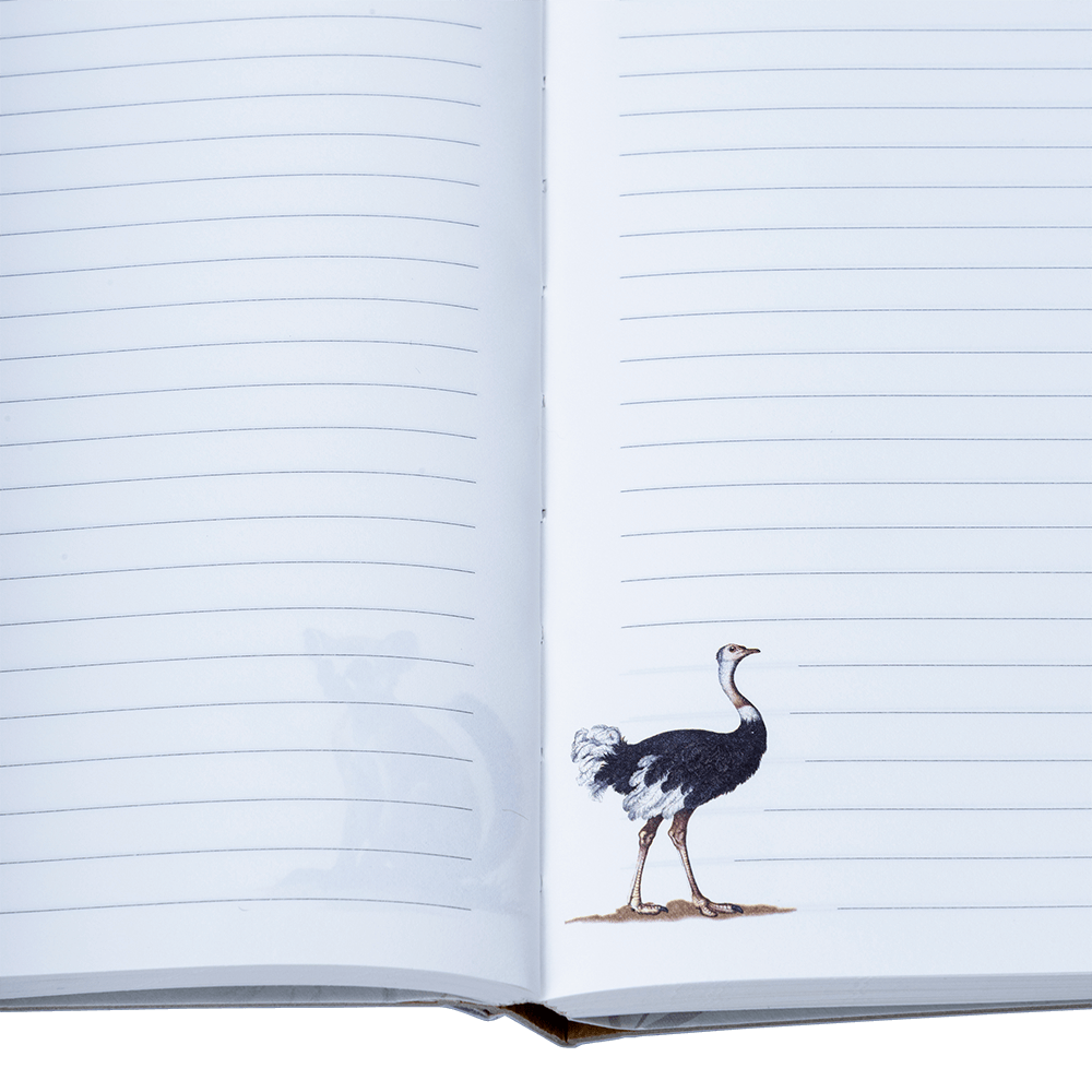 Animal Notebook (A) - Image 15