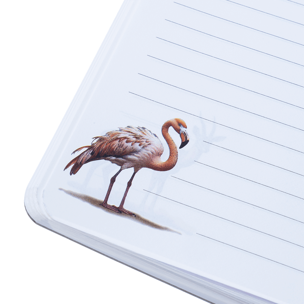 Animal Notebook (A) - Image 13